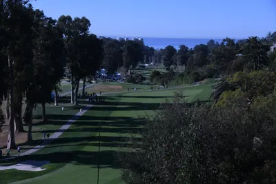 DSC_0719 (Large).JPG